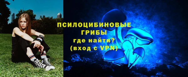 СК Пересвет